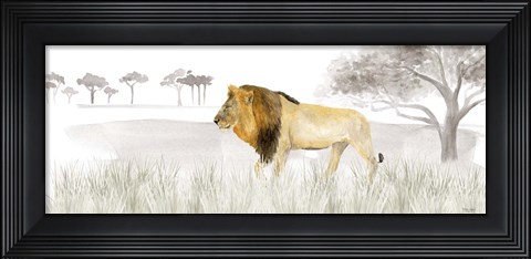 Framed Serengeti Lion horizontal panel Print