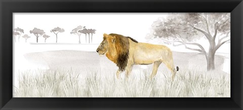 Framed Serengeti Lion horizontal panel Print