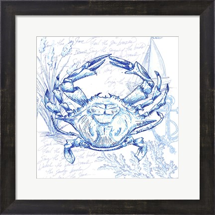 Framed Coastal Sketchbook Crab Print