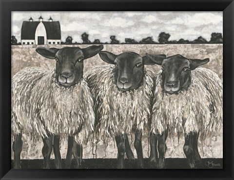 Framed Three Sheep Print