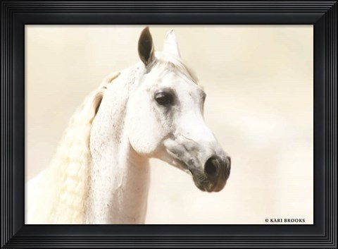 Framed Aloof Print