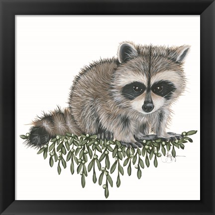 Framed Baby Raccoon Print