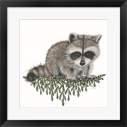 Framed Baby Raccoon Print