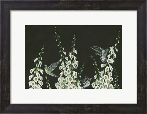 Framed Hummingbirds Print