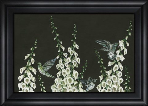 Framed Hummingbirds Print