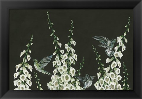 Framed Hummingbirds Print