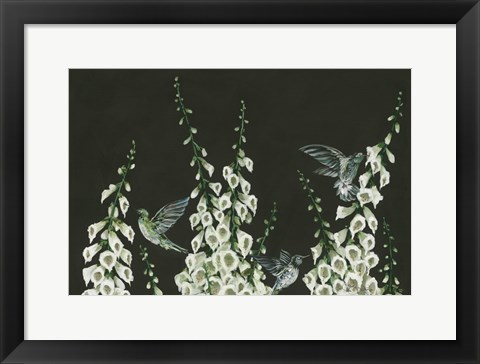 Framed Hummingbirds Print