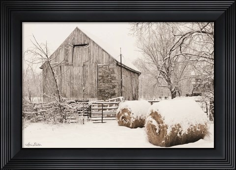 Framed Dinner Rolls Print