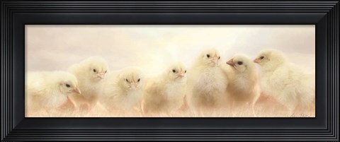 Framed Spring Line Up Print
