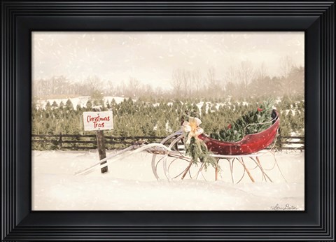Framed Red Sleigh at Tree Farm Print