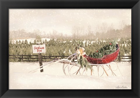 Framed Red Sleigh at Tree Farm Print