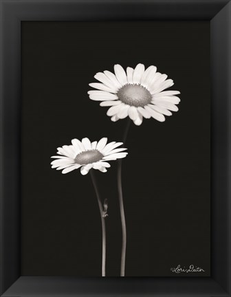 Framed Pair of Daisies Print