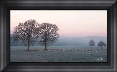 Framed Sheep on a Cold Morning Print