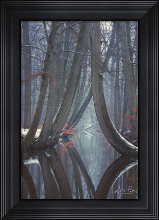 Framed Bent Ones - Winter Version Print