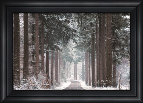Framed Pines in Winter Dress Print