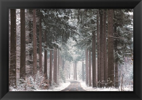 Framed Pines in Winter Dress Print