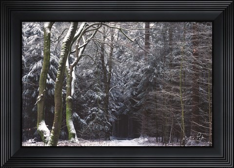 Framed Gate to the Dark World Print