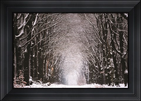 Framed Winter Tunnel Print