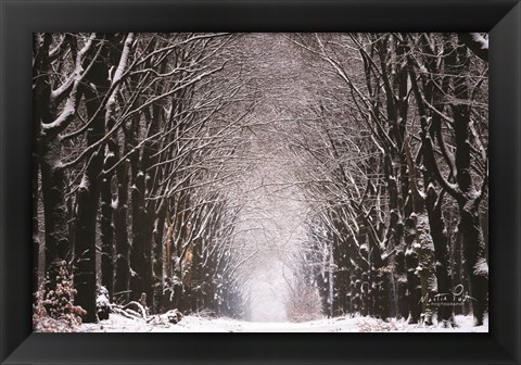 Framed Winter Tunnel Print