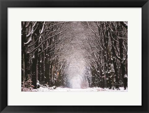 Framed Winter Tunnel Print