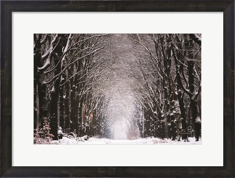 Framed Winter Tunnel Print