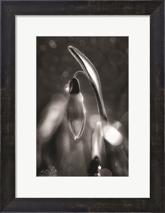 Framed Snowdrops in Black &amp; White Print