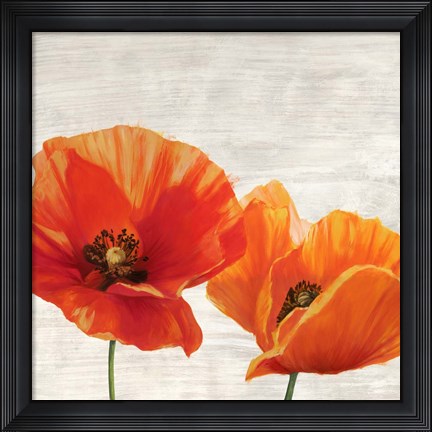Framed Bright Poppies I Print