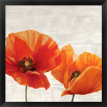 Framed Bright Poppies I Print