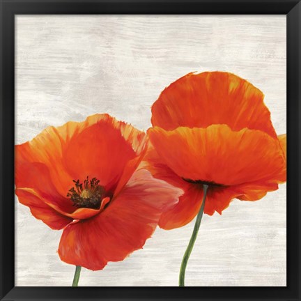 Framed Bright Poppies II Print