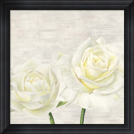 Framed Classic Roses I Print