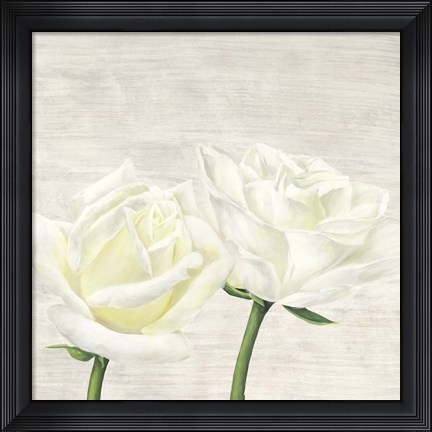 Framed Classic Roses II Print