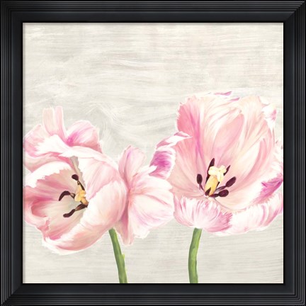 Framed Classic Tulips II Print