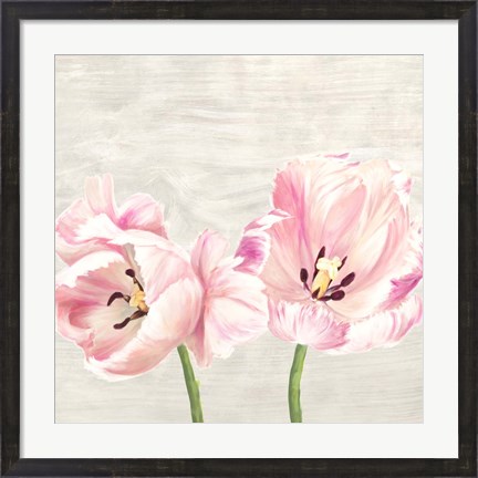 Framed Classic Tulips II Print