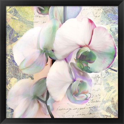 Framed Kaleidoscope Orchid (detail) Print