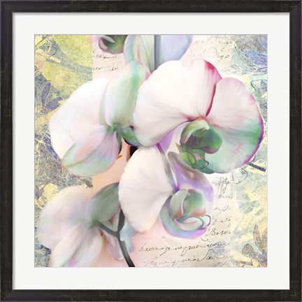 Framed Kaleidoscope Orchid (detail) Print