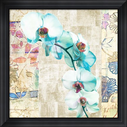 Framed Kaleidoscope Orchid II (detail) Print