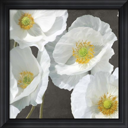 Framed Poppies on Chalkboard I Print
