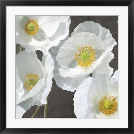 Framed Poppies on Chalkboard I Print