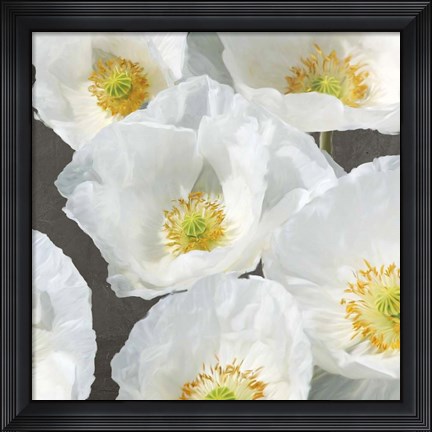 Framed Poppies on Chalkboard II Print