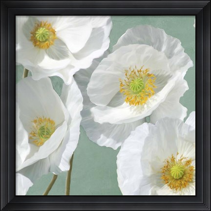 Framed Poppies on Mint I Print