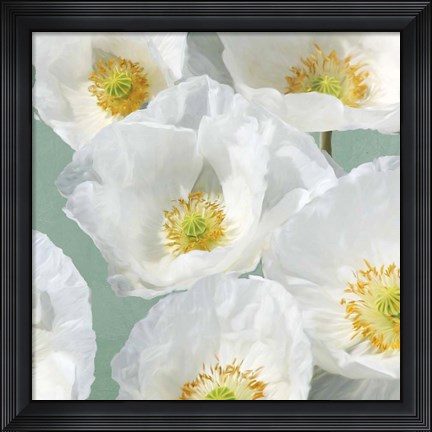 Framed Poppies on Mint II Print