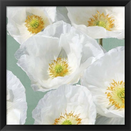 Framed Poppies on Mint II Print