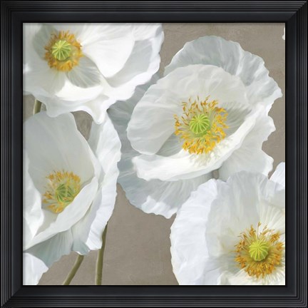 Framed Poppies on Taupe I Print