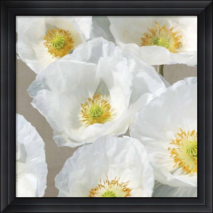 Framed Poppies on Taupe II Print