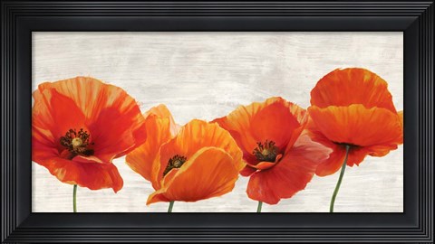 Framed Bright Poppies Print