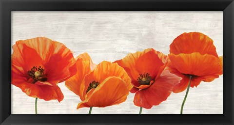 Framed Bright Poppies Print