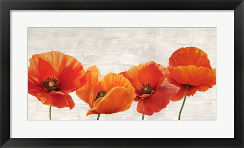 Framed Bright Poppies Print