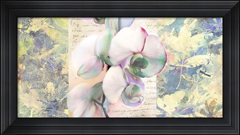 Framed Kaleidoscope Orchid Print