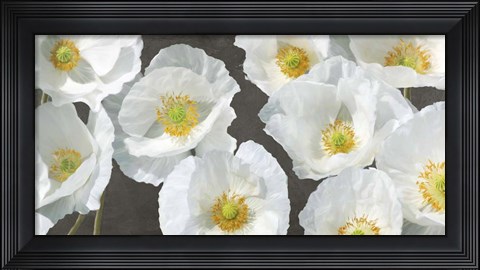 Framed Poppy Arrangement (Chalkboard) Print