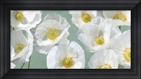 Framed Poppy Arrangement (Mint) Print